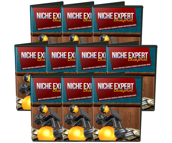 Niche Expert Blueprint