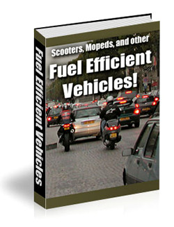 Scooters, Mopeds, and Other Fuel Efficient Vehicles