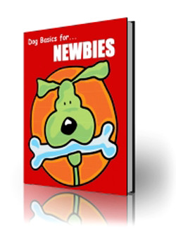 Dogs Basic for Newbies