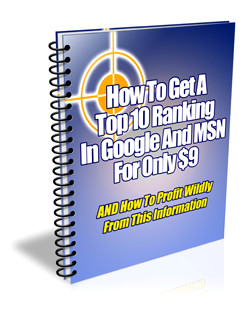 How to Get a Top Ranking in Google and MSN for Only $9
