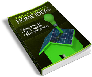 Energy Efficient Home Ideas