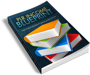PLR Income Blueprint