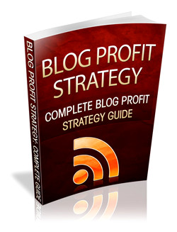 Blog Profit Strategy