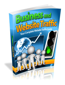 Business and Website Traffic
