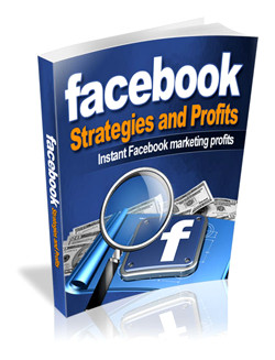 Facebook Strategies and Profits