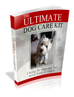 The Ultimate Dog Care Kit
